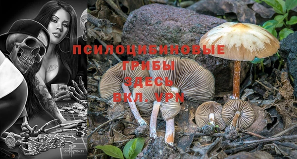 крисы Кукмор