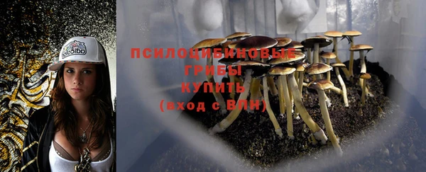 крисы Кукмор