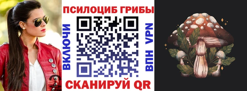 Галлюциногенные грибы ЛСД  магазин продажи наркотиков  Новочебоксарск 