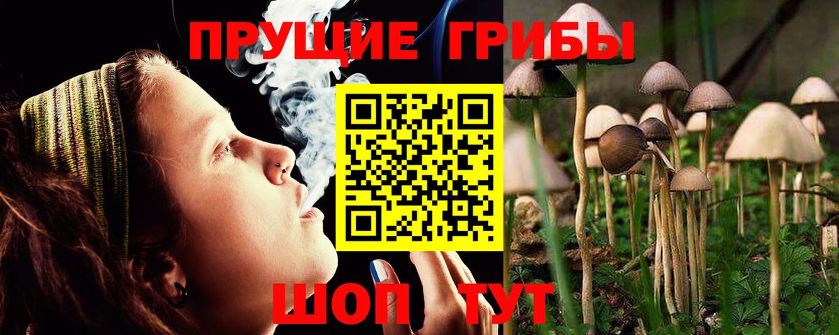 Новочебоксарск  цены   Вход с VPN  Галлюциногенные грибы MAGIC MUSHROOMS 