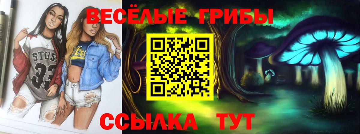 Галлюциногенные грибы Psilocybine cubensis  Новочебоксарск  Галлюциногенные грибы мицелий 