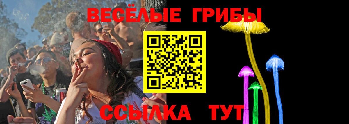Галлюциногенные грибы Psilocybine cubensis Новочебоксарск